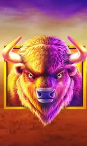 Buffalo King
